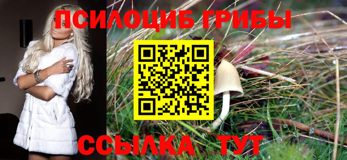 сколько стоит  Вход с VPN  Нурлат  Галлюциногенные грибы Psilocybe 